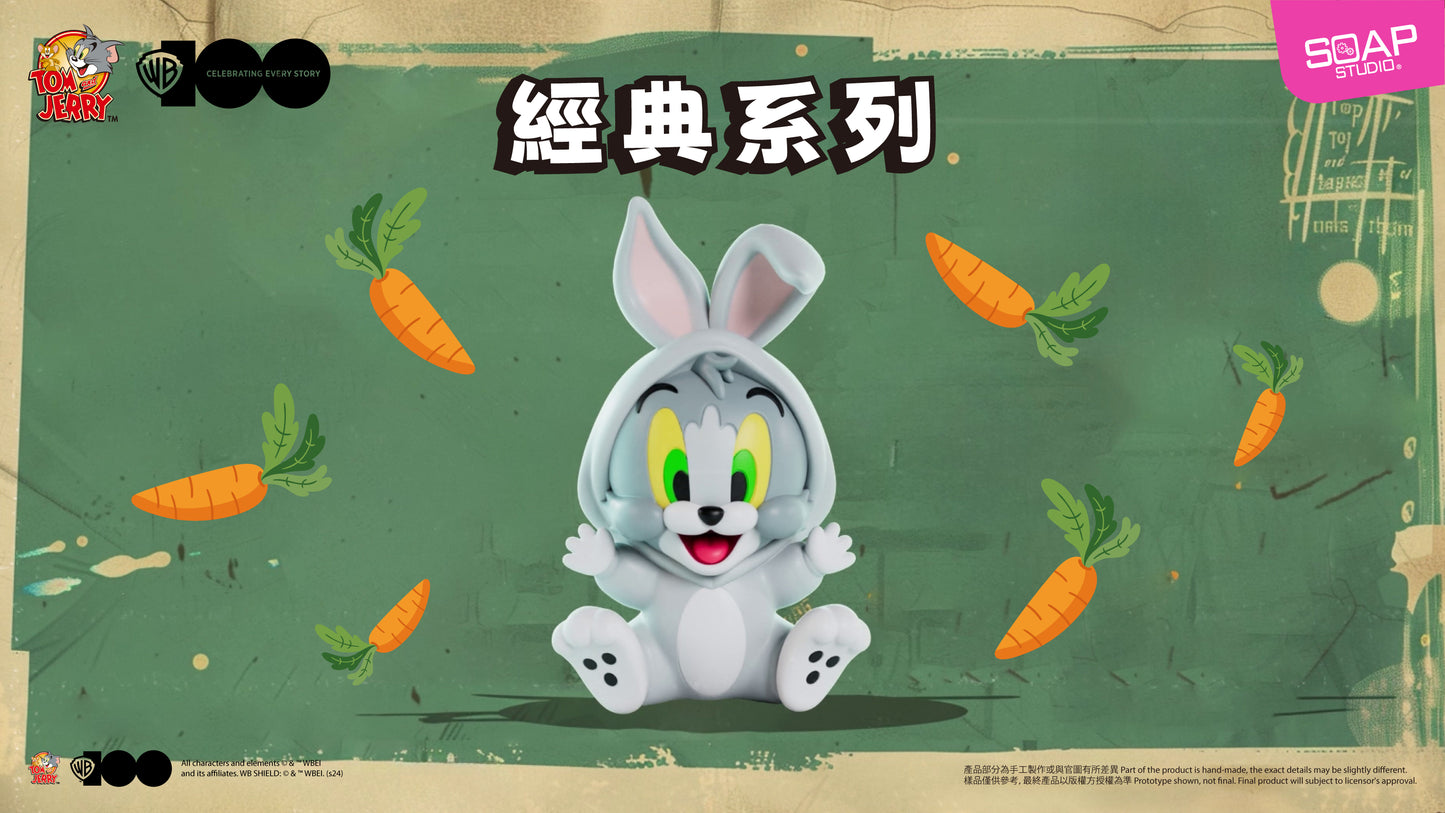 CA813A  WB100TH Tom and Jerry in Costume Vin-Blop Blind Box (Single Blind Box)