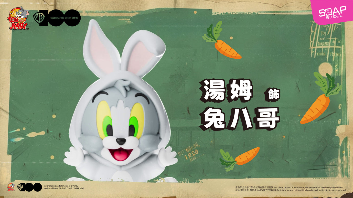 CA813A  WB100TH Tom and Jerry in Costume Vin-Blop Blind Box (Single Blind Box)
