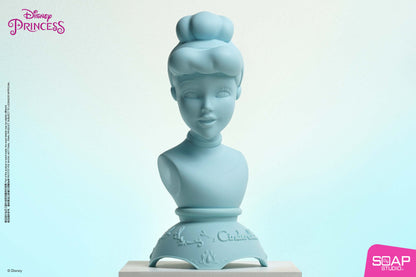 Disney Princess Series - Love At First Sight Series Vinyl Bust