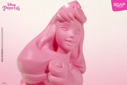 Disney Princess Series - Love At First Sight Series Vinyl Bust